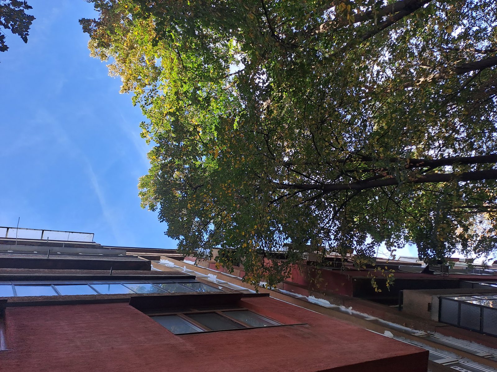 First walk — Inter-block Wanderings